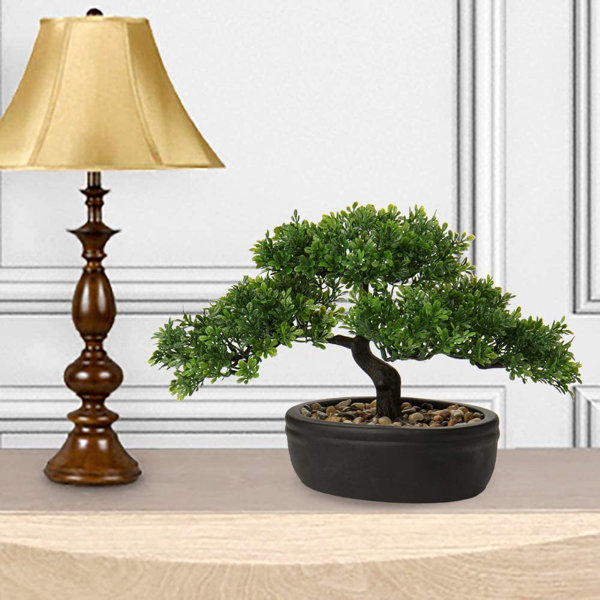 Primrue 9'' Faux Bonsai Tree Wayfair